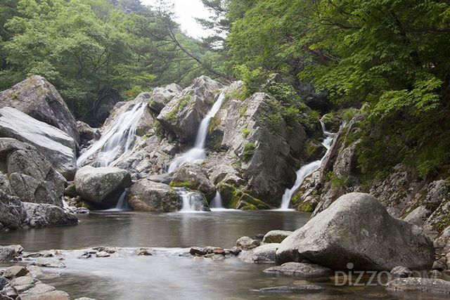 사진제공=교원투어