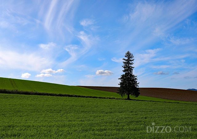 홋카이도 패치워크의 길(사진제공=하나투어)