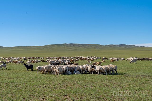 몽골 대초원(사진제공=하나투어)