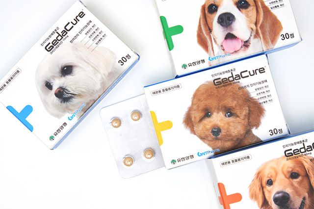 지엔티파마가 개발한 반려견 인지기능장애증후군 치료제 ‘제다큐어’ /이미지 제공=지엔티파마