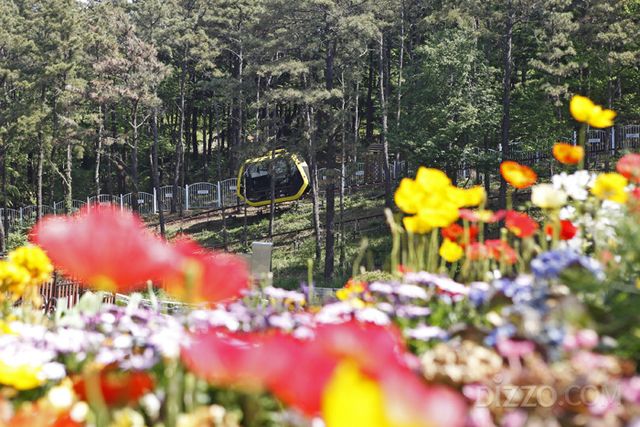 사진제공=한국관광공사
