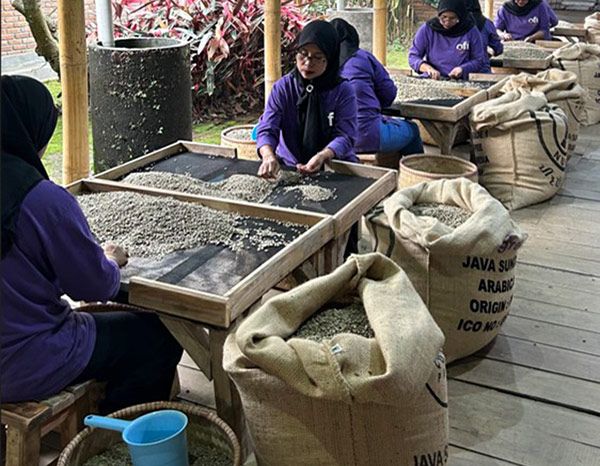 최상의 커피 맛을 완성할 수 있도록 결점두를 발라내는 과정을 거치고 있다./사진=네스프레소