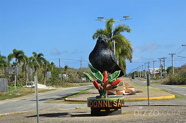 티니안에 사는 살리(Sali)는 도니살리를 먹은 후 정글 곳곳에 씨를 퍼트린다.