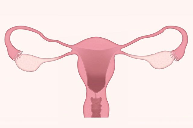 이미지 출처=픽사베이