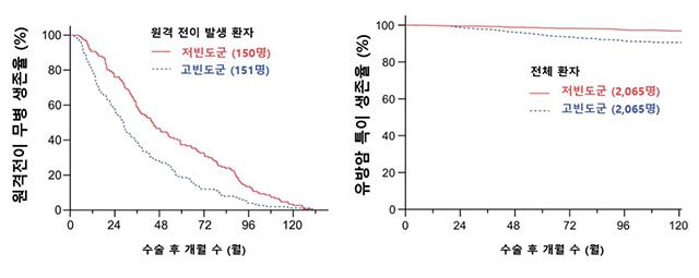 원격 전이 무병 생존율(왼쪽) 및 유방암 특이 생존율(오른쪽): 왼쪽 그래프에서는 검사 빈도가 높을수록 전이를 빨리 발견할 수 있음을 보여주며, 오른쪽 그래프에서는 검사 빈도가 높을수록 생존율이 낮았지만, 다양한 변수들을 보정한 결과 생존율과 검사 빈도 간의 연관성은 없는 것으로 나타남 /이미지 제공=서울대병원