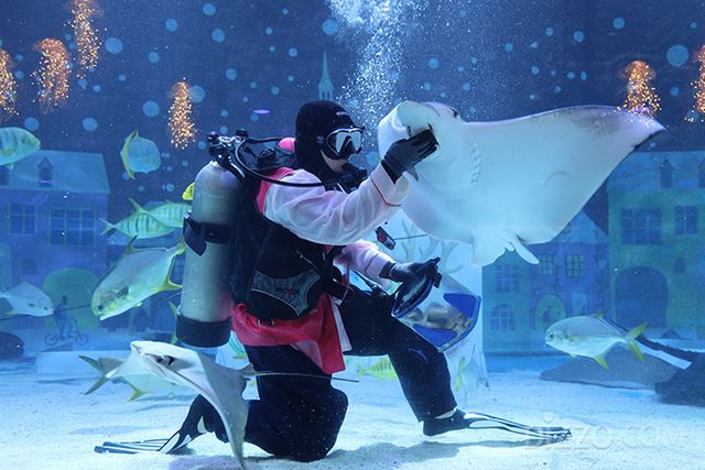 사진제공=코엑스 아쿠아리움