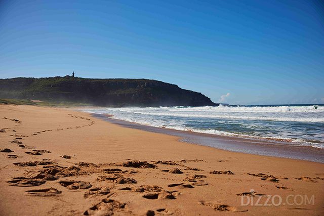 팜 비치(사진제공=호주관광청)
