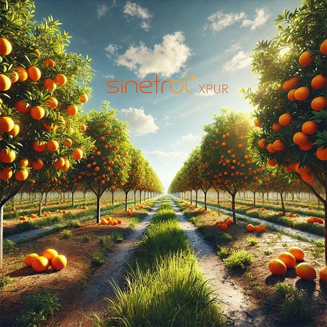 이미지 제공=알피바이오