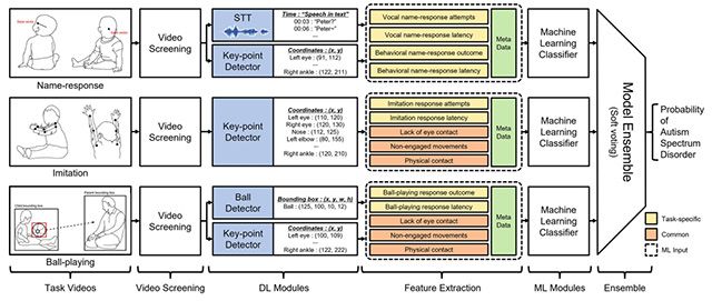 AI 기반 자폐스펙트럼장애 조기 선별 과정: 이름 반응, 모방, 공놀이 영상을 분석해 음성·자세·공 움직임을 행동 지표로 변환하고, 이를 종합해 자폐 가능성을 예측한다. /이미지 제공=서울대병원