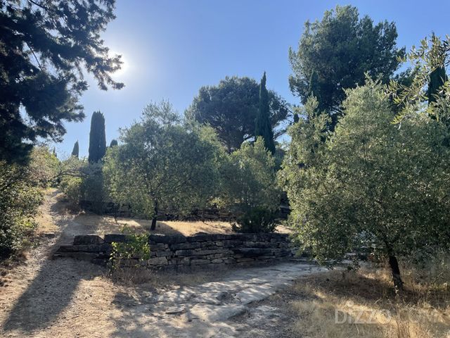 '화가들의 정원'에는 지중해성 관목과 나무들이 심어져 있다.(사진촬영=서미영 기자)