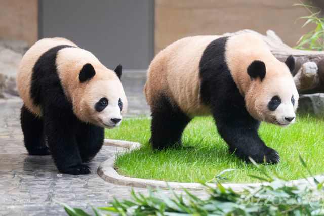 사진제공=에버랜드