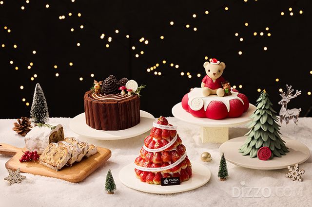 사진제공=카시아 속초