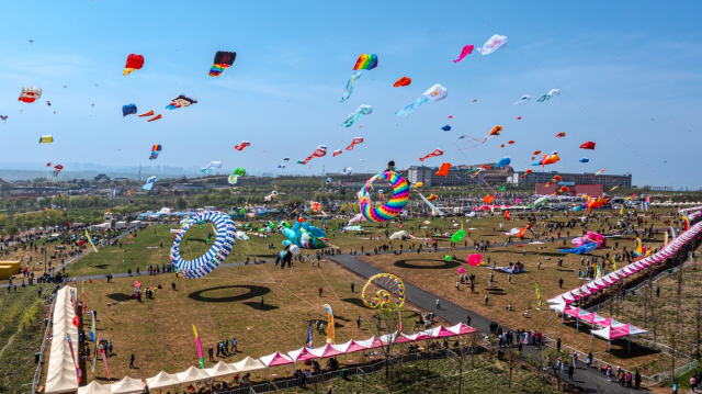 웨이팡 국제연축제
