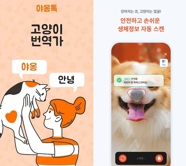 MeowTalk(뮤톡)과 Petnow(펫나우)