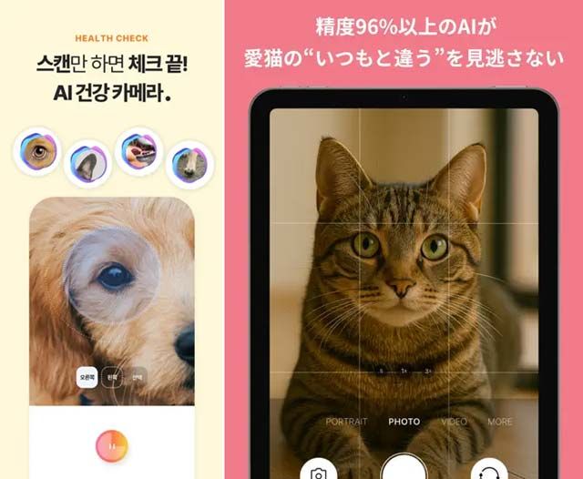 Ttcare(티티케어)와 CatsMe(캣츠미)