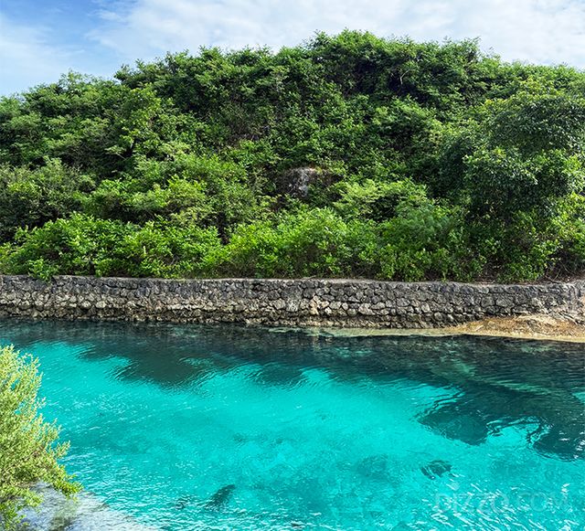 괌 남부투어 중 에메랄드 밸리(사진촬영=서미영 기자)