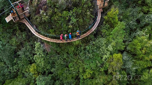 로토루아 캐노피 투어(사진제공=CanopyTours)