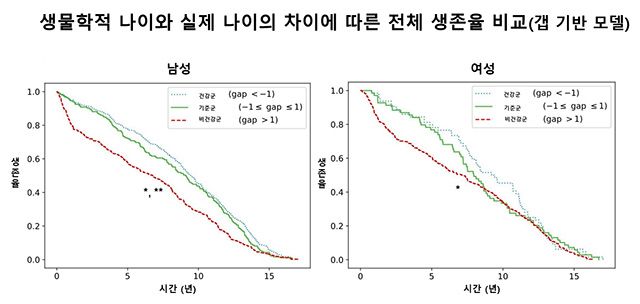 생물학적 나이와 실제 나이의 차이에 따른 전체 생존율 비교(갭 기반 모델). 남성은 건강군 대비 다른 두 그룹의 생존율이 유의하게 낮았으며, 여성에서도 유사한 경향이 나타났다. /이미지 제공=서울대병원