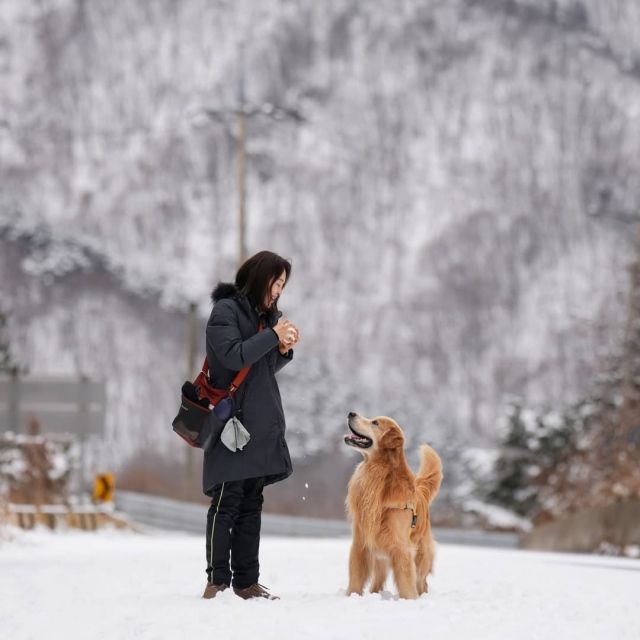 문정희와 반려견 '마누'의 모습 / 사진 : 문정희 인스타그램