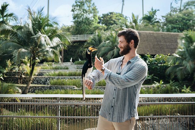 버드 파라다이스의 쿠옥 그룹 윙스 오브 아시아 구역 내 대형 체험형 조류장에서 배우 데이비드 코런스웻이 싱가포르 토착종 오리엔탈 흰뺨큰뿔새 ‘샐리’와 함께 포즈를 취하고 있다.(사진제공=싱가포르 관광청)
