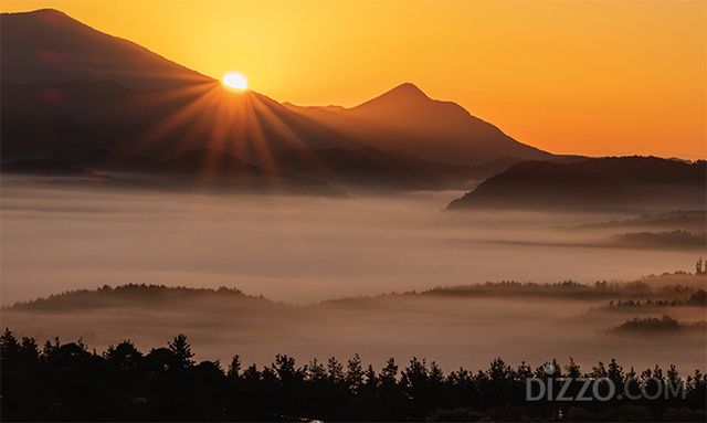 2025년 새해 일출(사진제공=사유원)