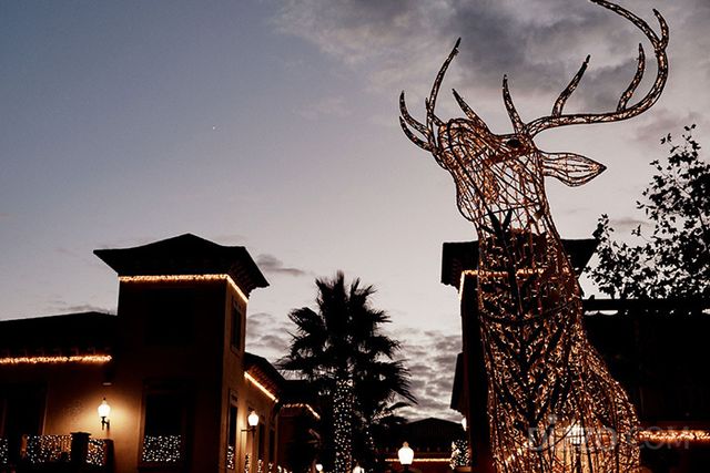 사진제공=비스터 컬렉션