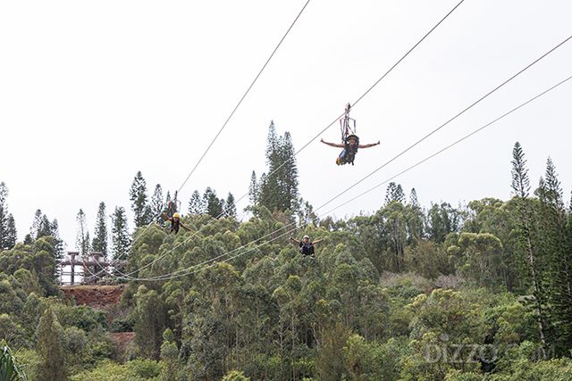하와이에서 즐기는 집라인(사진 제공=하와이 관광청 한국 사무소)