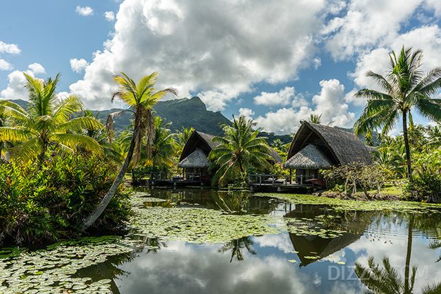후아히네(Huahine)(사진제공=타히티 관광청)