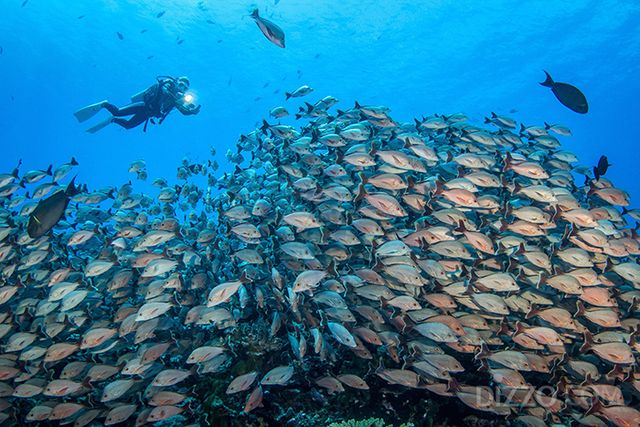 파카라바(Fakarava)(사진제공=타히티 관광청)