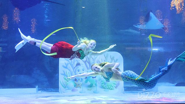 사진제공=씨라이프 코엑스 아쿠아리움