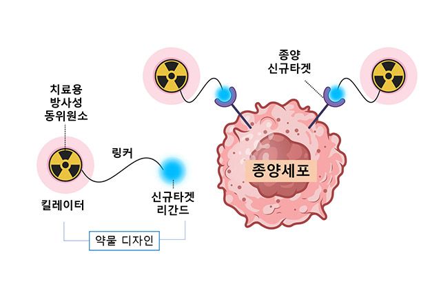 방사성 리간드 치료제의 종양 치료 기전 /이미지 제공=서울대병원