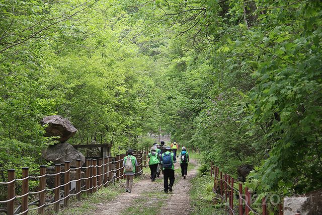 사진제공=승우여행사