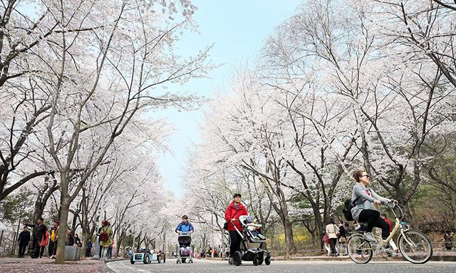 사진=인천관광공사