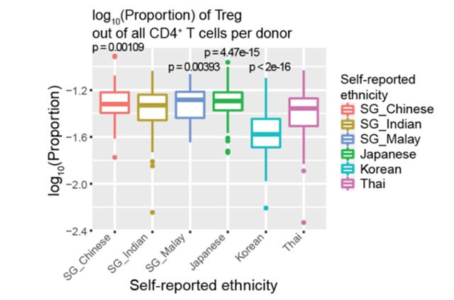 한국인(그림 오른쪽에서 두 번째 박스)은 조절 T세포가 다른 아시아국가 사람들보다 현저하게 비율이 낮았다. /이미지 제공=삼성서울병원