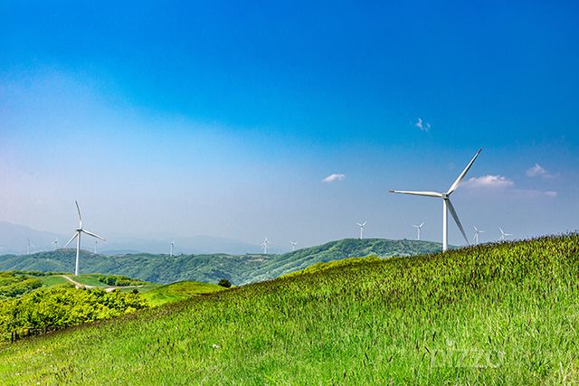 대관령삼양목장(사진제공=평창군청)