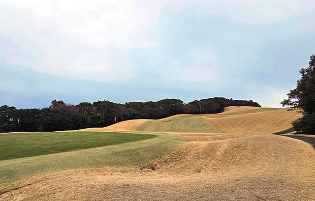 11번홀 그린 주변. 그린까지 내리막과 평탄하지 않은 코스 언둘레이션이 쉽지 않은 코스이다.