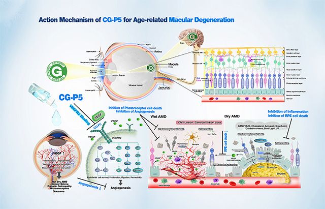 이미지 제공=케어젠