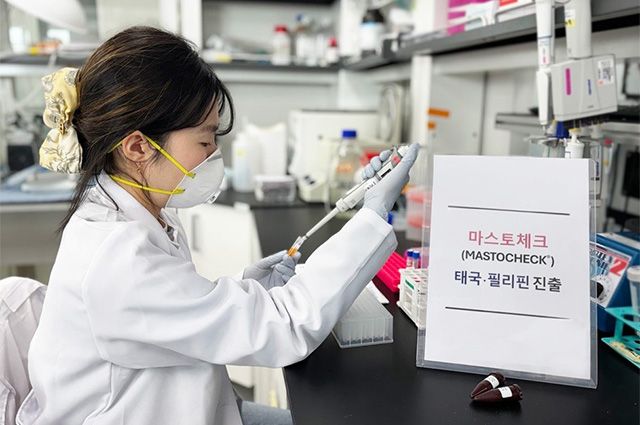 사진 제공=베르티스