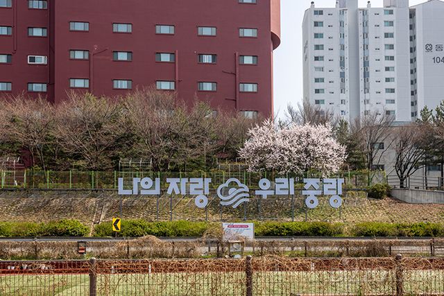 사진제공=서울관광재단