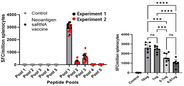 이미지 제공=CG인바이츠