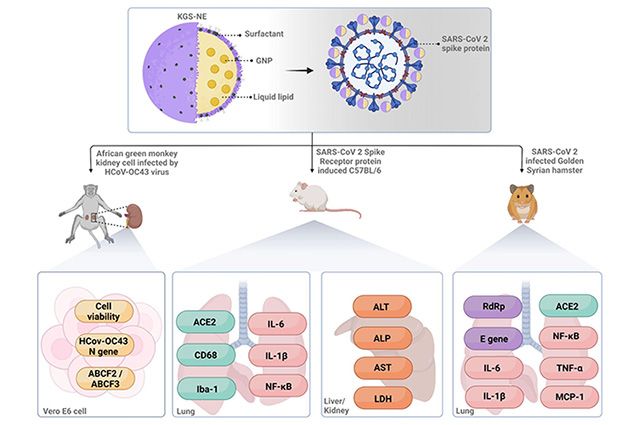 이미지 제공=경희대학교