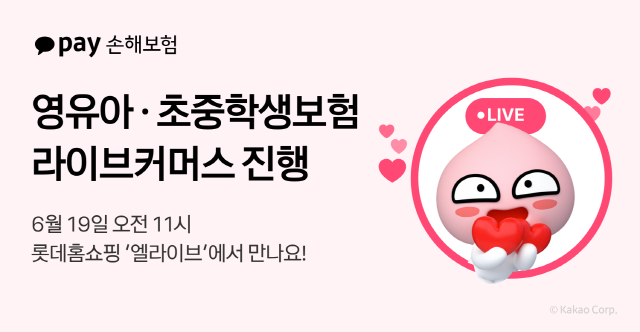 사진 제공=카카오페이손해보험