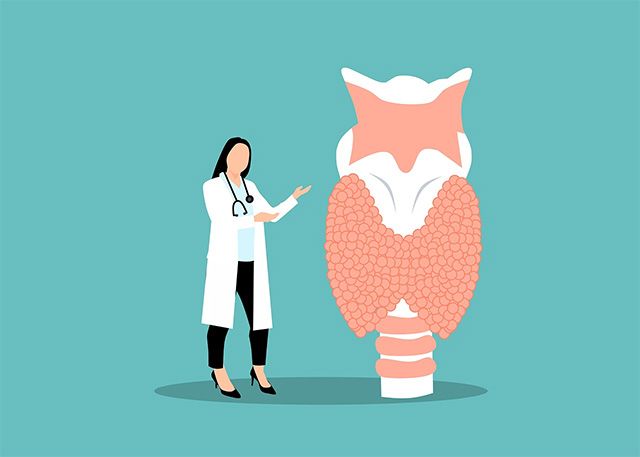 이미지 출처=픽사베이