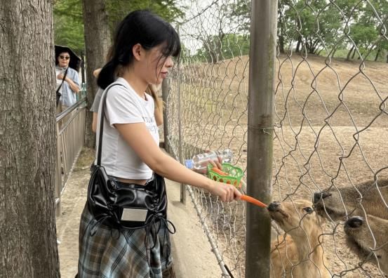 사슴에게 먹이를 주는 대표단의 모습 / 사진 제공=강소성문화관광청
