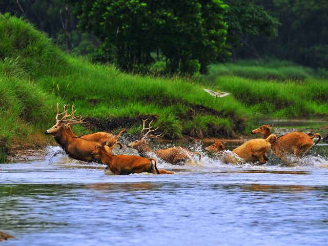사진 제공=강소성문화관광청