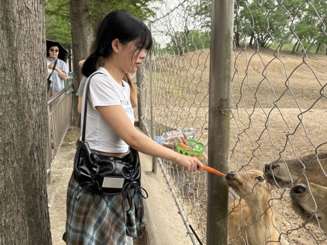 사슴에게 먹이를 주는 대표단의 모습/사진 제공=강소성문화관광청