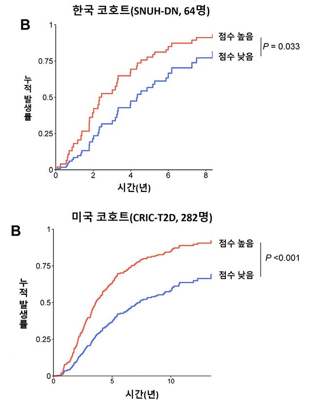 보체 점수에 따른 당뇨병콩팥병의 진행 확률. 다른 임상 변수를 보정했을 때, 보체 점수가 높은 환자는 당뇨병콩팥병이 빠르게 진행될 위험이 2배 이상 높았고, 이 결과는 한국 및 미국 코호트에서 동일했다. /이미지 제공=서울대병원