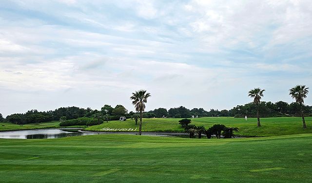 PALM 코스 주변 전경.