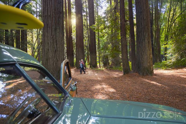 사진제공= 캘리포니아 관광청