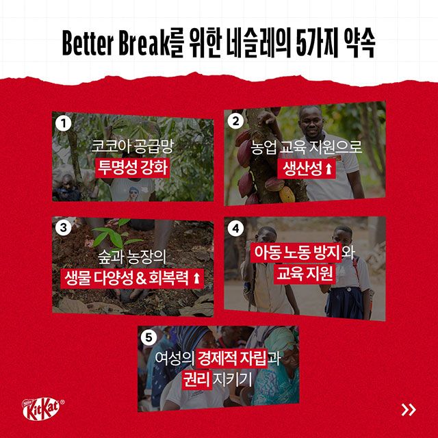 사진=네슬레코리아 제공